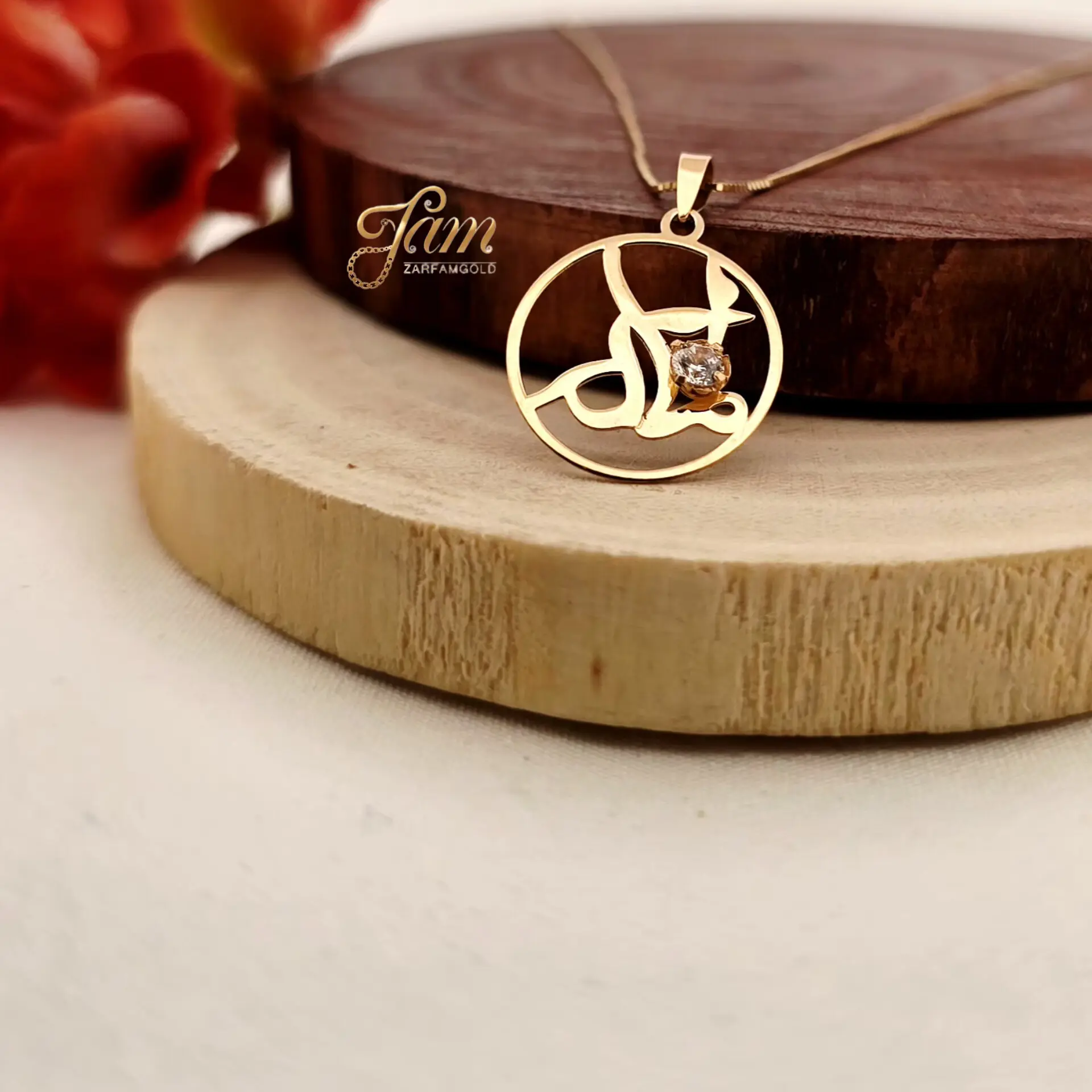 IMG_20251113_204923_043 (1)