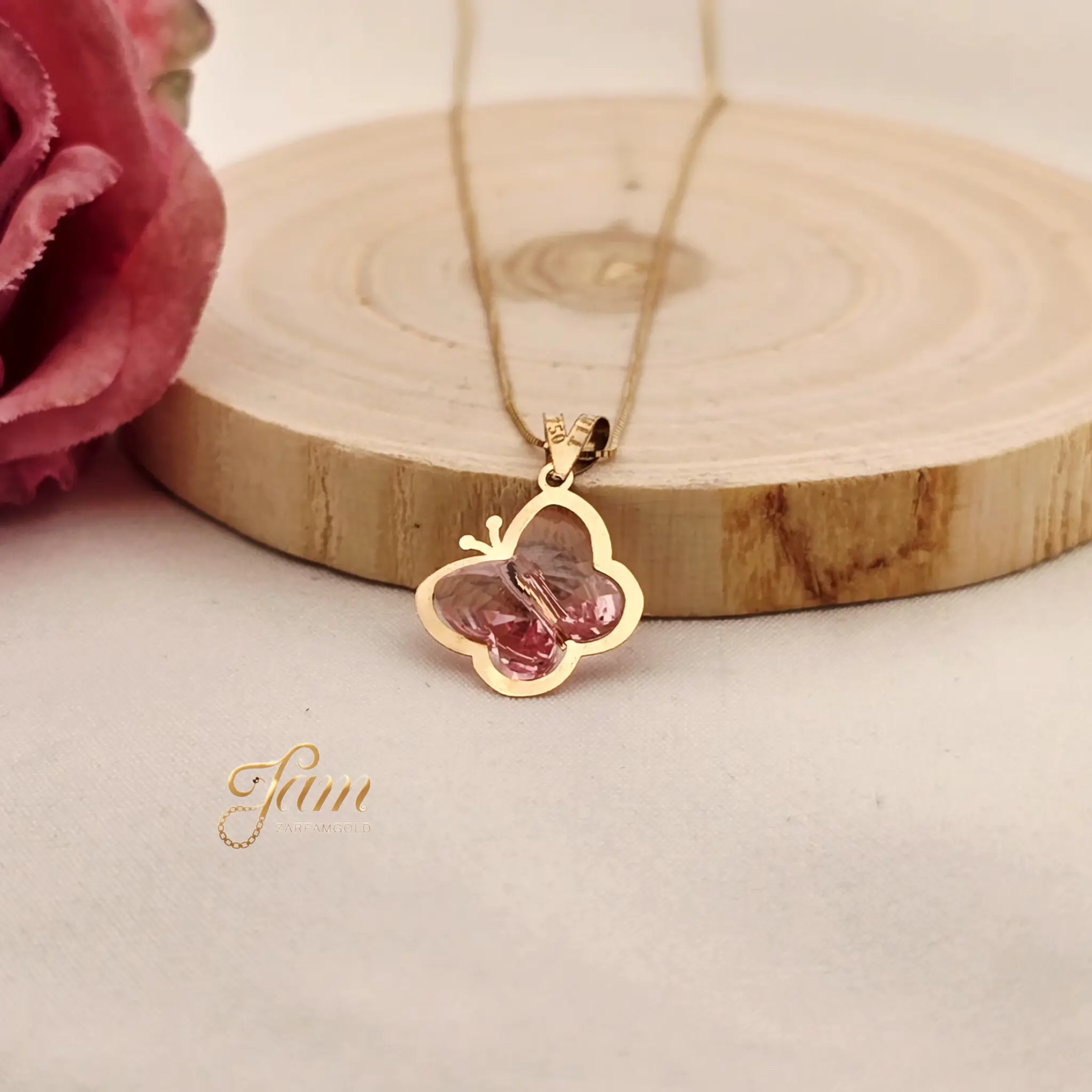 IMG_20251123_204655_530