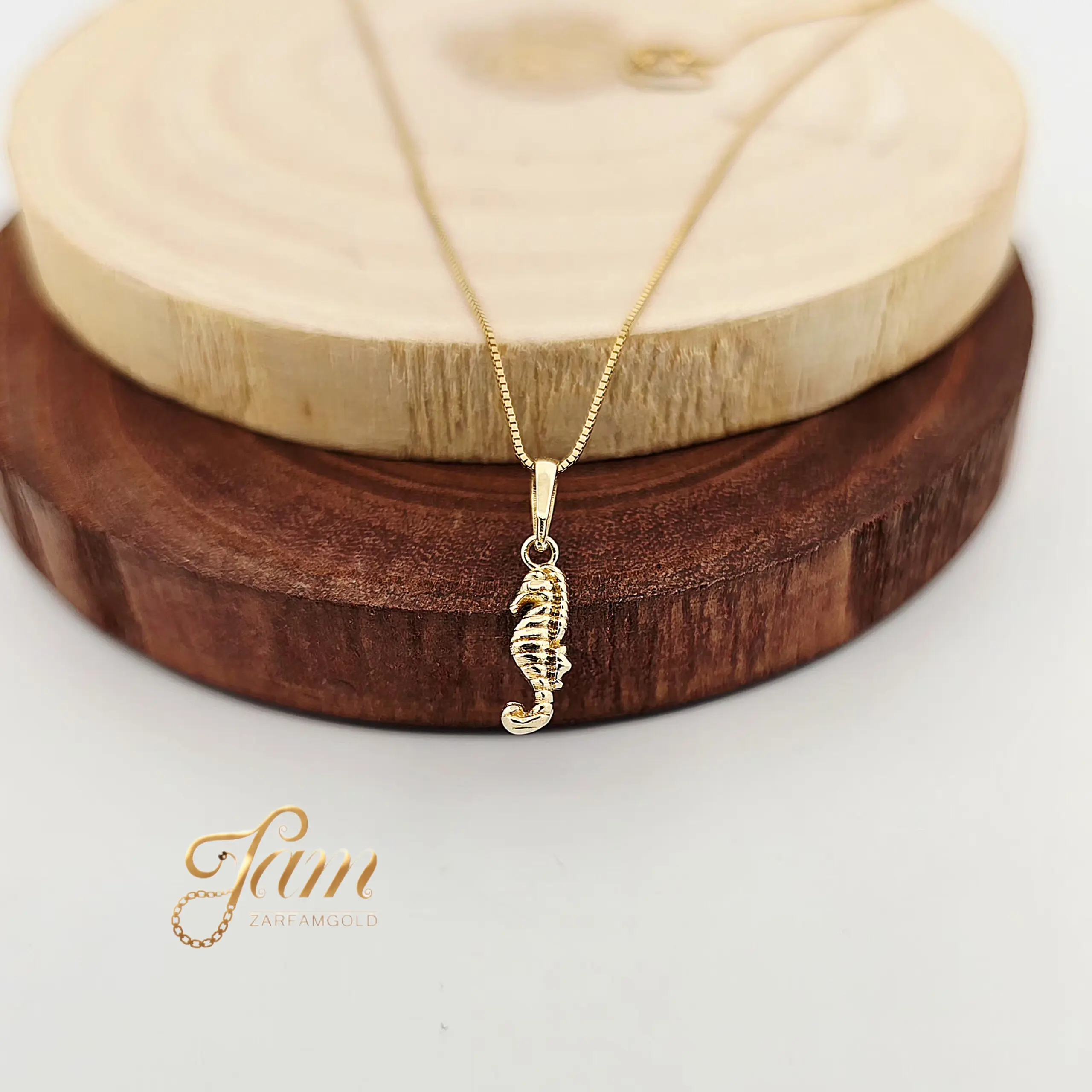 InShot_20260122_125428045